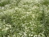 DSCN0756